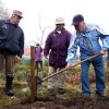 Sázení lípy ke 100. výročí samostatného československého státu
